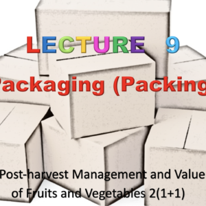 Packaging PPT